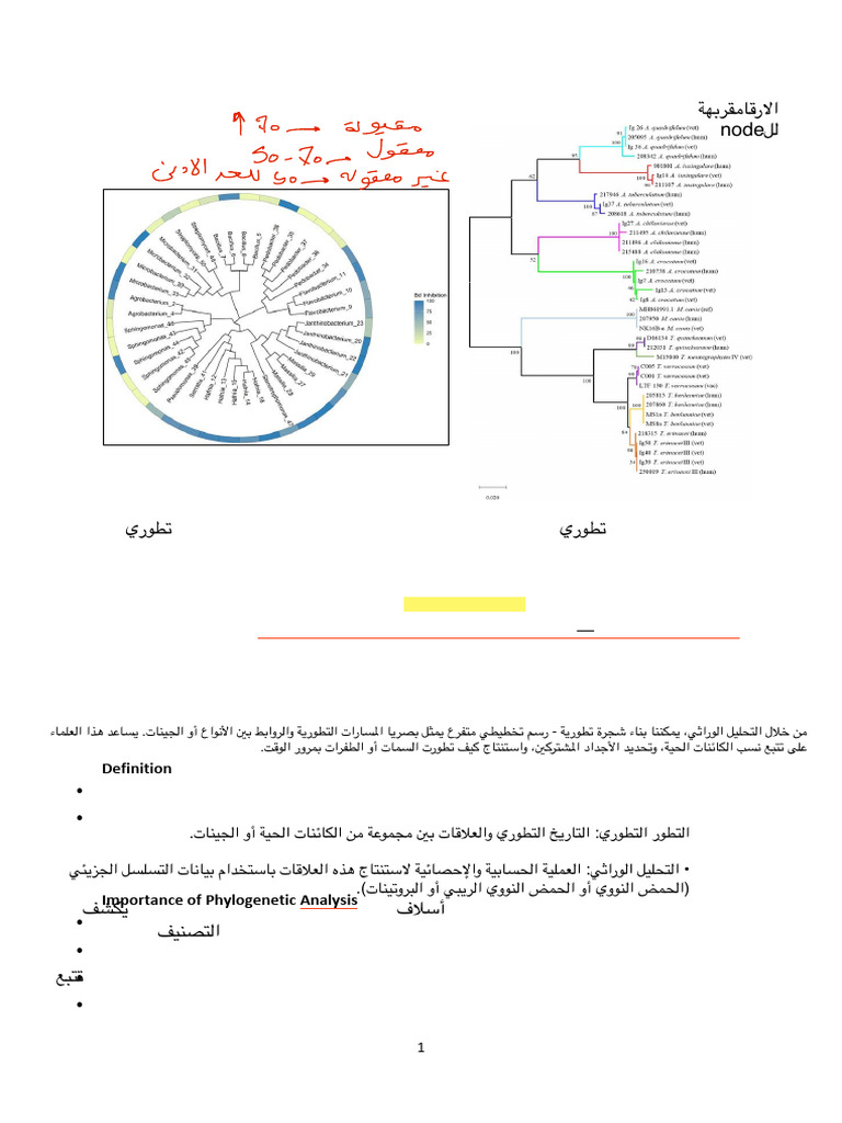 lecture3 (1) | PDF | Phylogenetics | Phylogenetic Tree