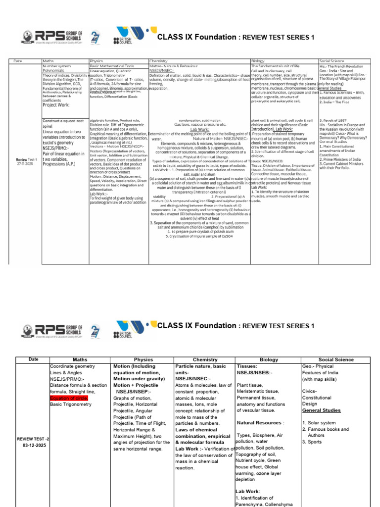 Class IX Foundation Review Test Series | PDF | Sulfate | Chemistry