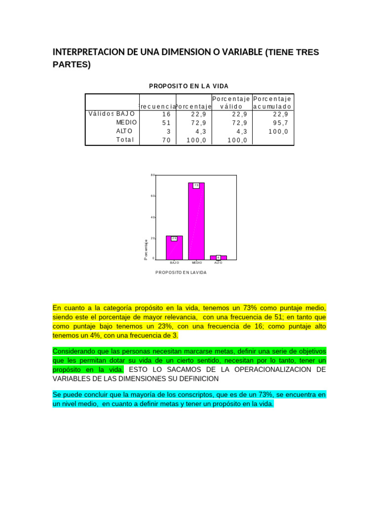 Interpretacion de Una Dimension o Variable | PDF
