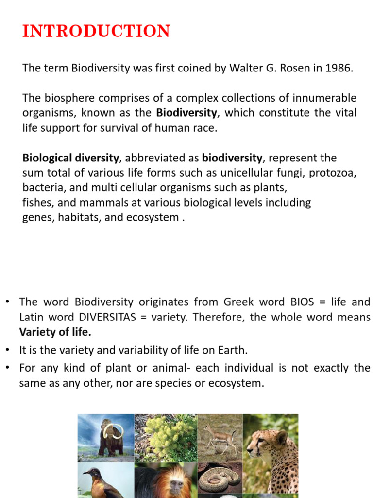 4.biodiversity final s | PDF | Biodiversity | Ecosystem