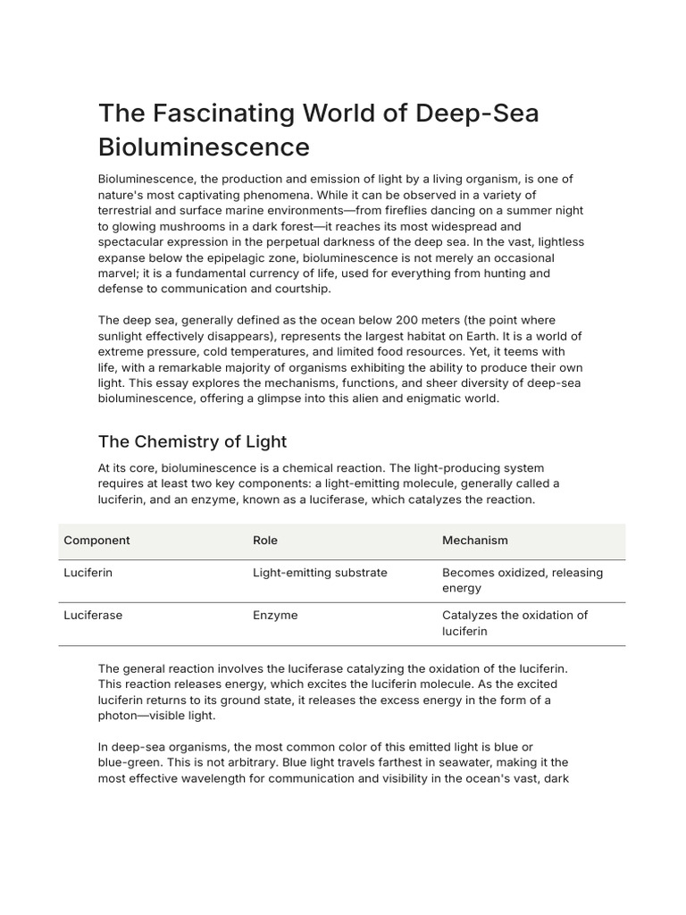 Deep-Sea Bioluminescence Explained | PDF | Deep Sea | Biology