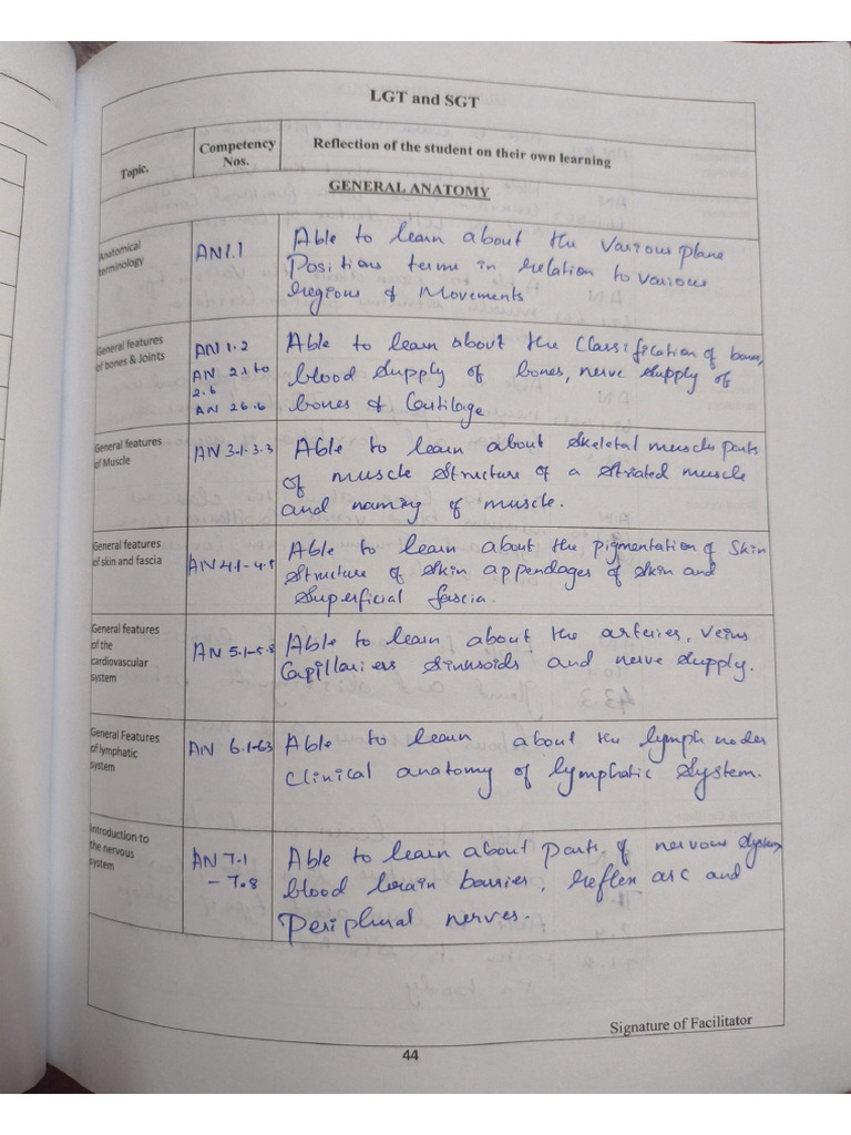 Anatomy LGT and SGT Writing | PDF
