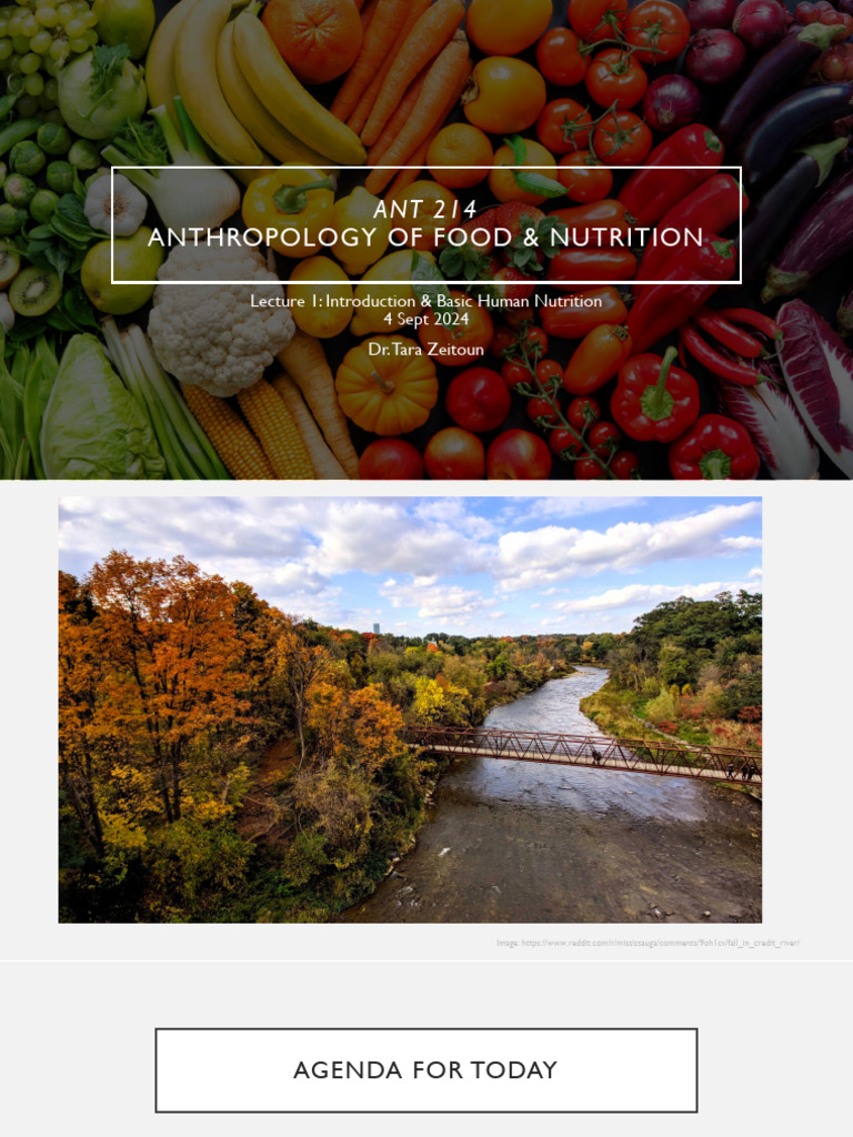 Lecture+1 Intro+%26+Basic+Human+Nutrition+ | PDF | Nutrients | Malnutrition