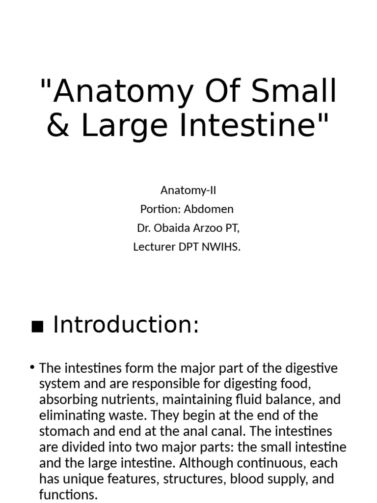 Intestinal Anatomy and Pathologies Guide | PDF | Small Intestine ...