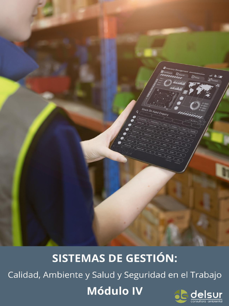 Gestión de Seguridad y Salud Laboral | PDF | Riesgo | Seguridad y salud ...