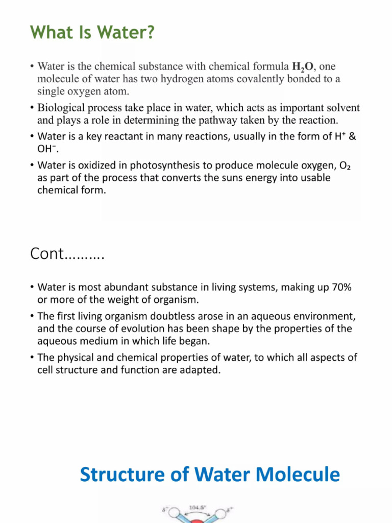 Water | PDF
