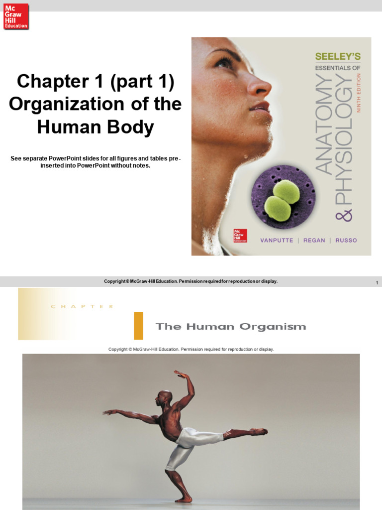 Week 1 Part 1 Organization of the Human Body | PDF | Anatomical Terms ...