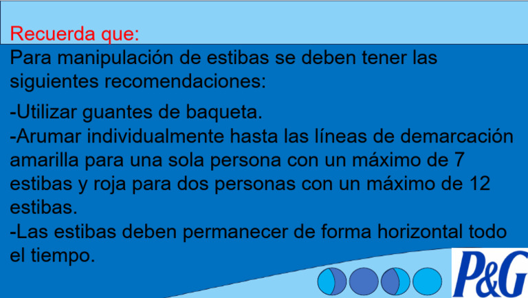 Plantilla P&G | PDF