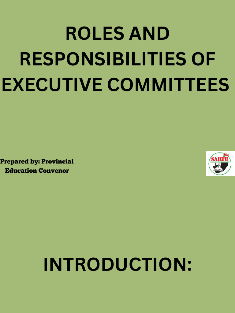 Executive Committee Roles Overview | PDF | Quorum | Government