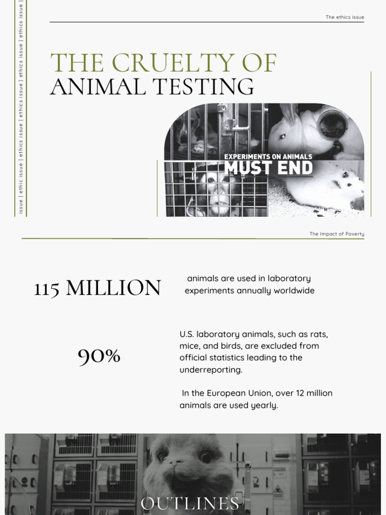 Nguyễn Thu Phương - Persuasive Speech About Animal Testing | PDF ...