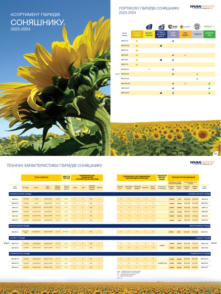 Catalogue Masseeds Sunflower 2024 | PDF