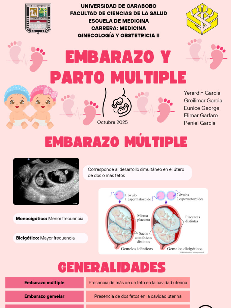Embarazo y Parto Multiple 20251016 053339 0000 | PDF | El embarazo ...