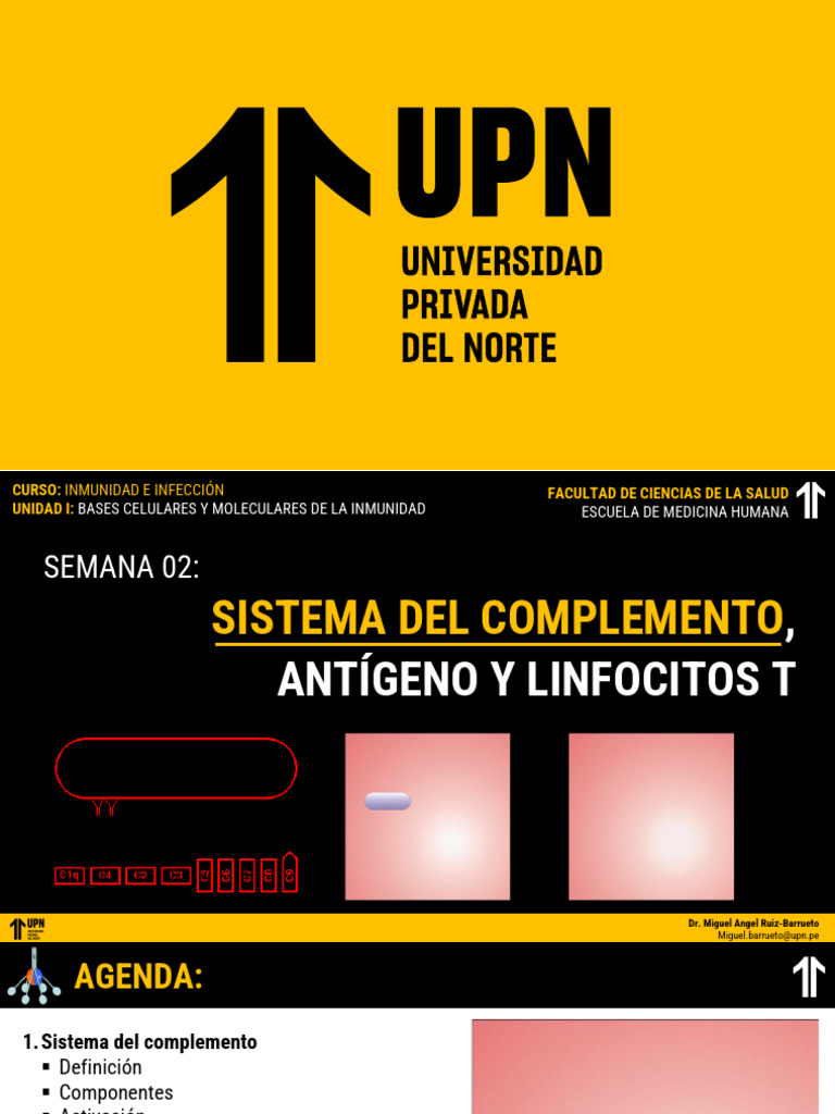 Clase 02 - Sistema Del Complemento - Antígenos y Linfocitos t - Iei (1 ...