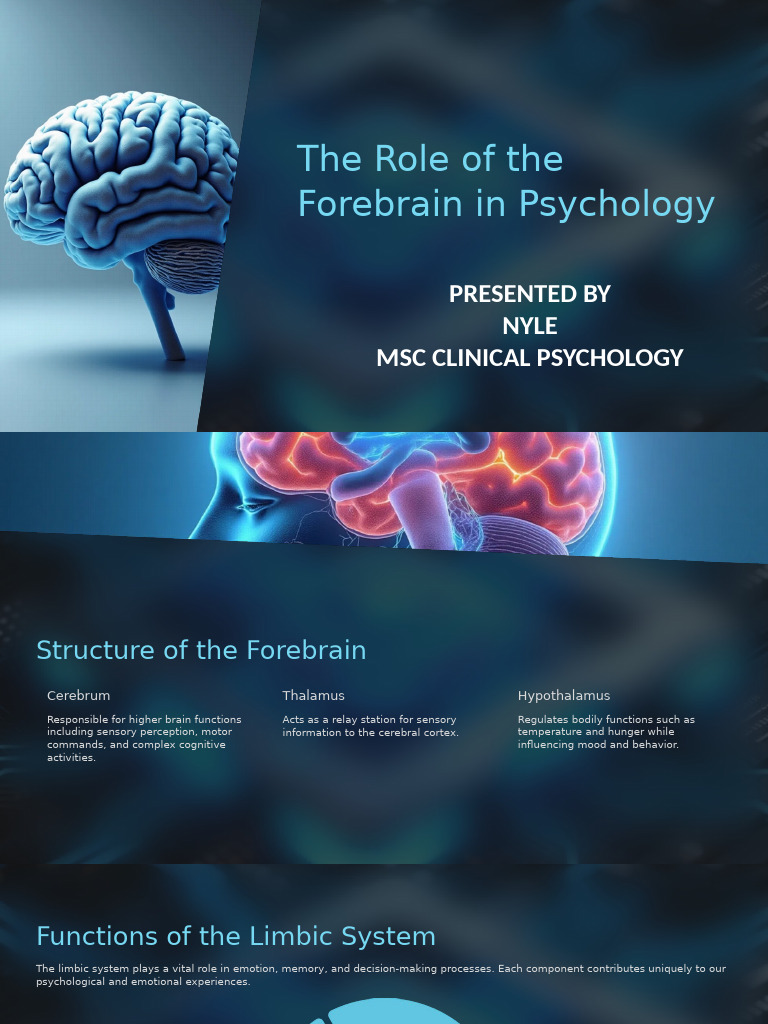 Forebrain Functions in Psychology | PDF | Limbic System | Emotions