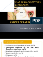 Cancer de Vias Aero-Digestivas Superiores