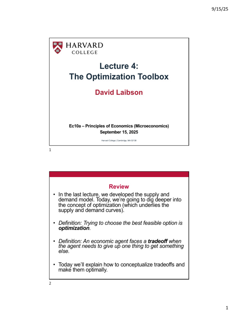 Optimization Toolbox in Economics Lecture | PDF | Cost–Benefit Analysis ...