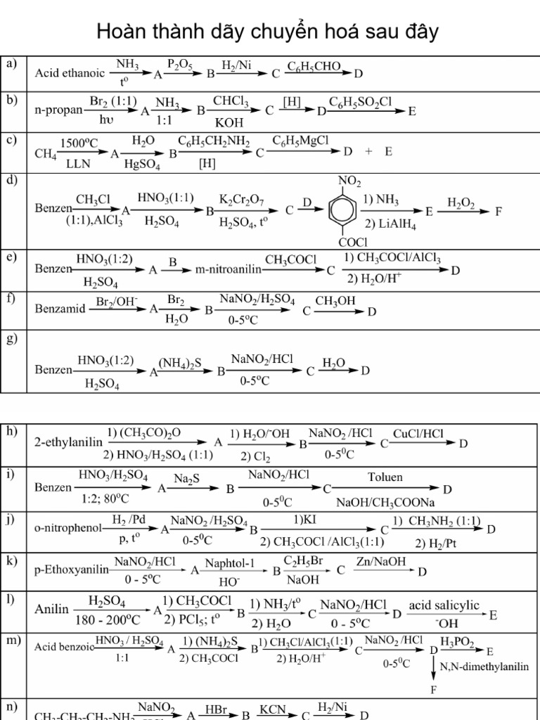 BT c13 | PDF