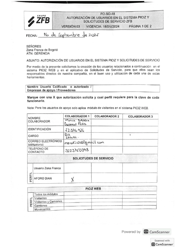 Formato ZF | PDF