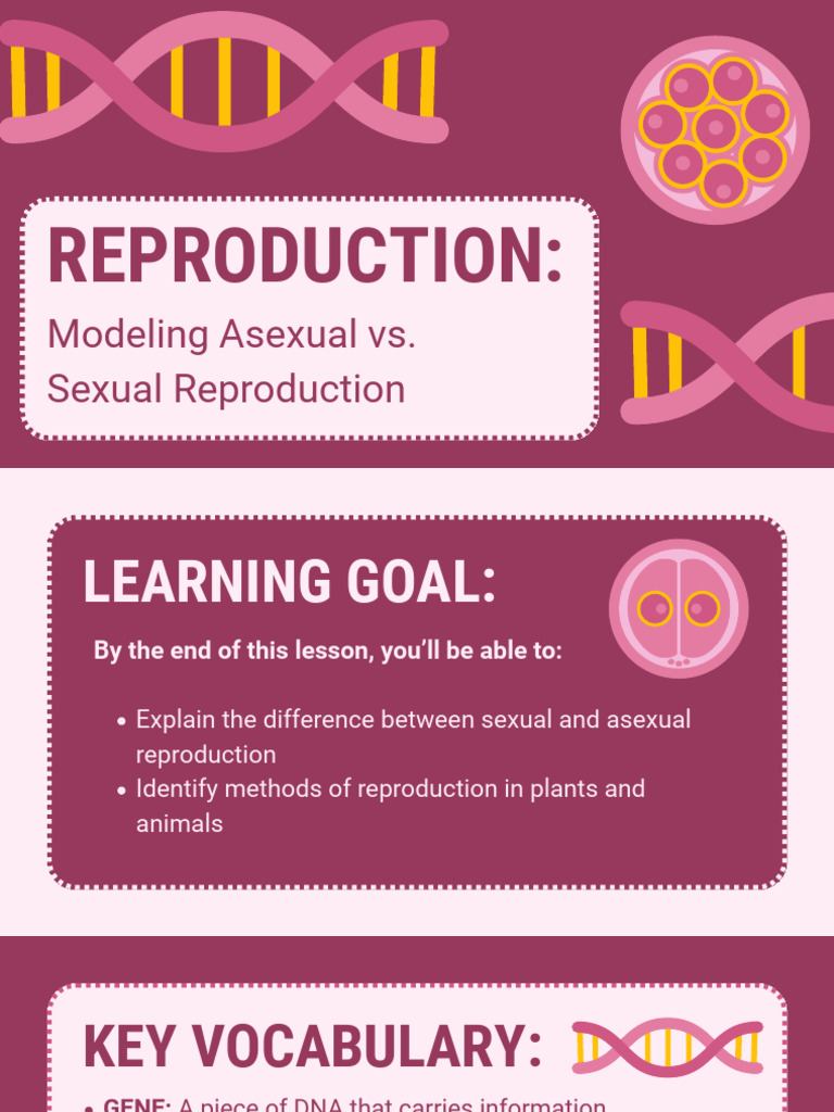 Asexual vs. Sexual Reproduction Explained | PDF | Reproduction | Sexual ...