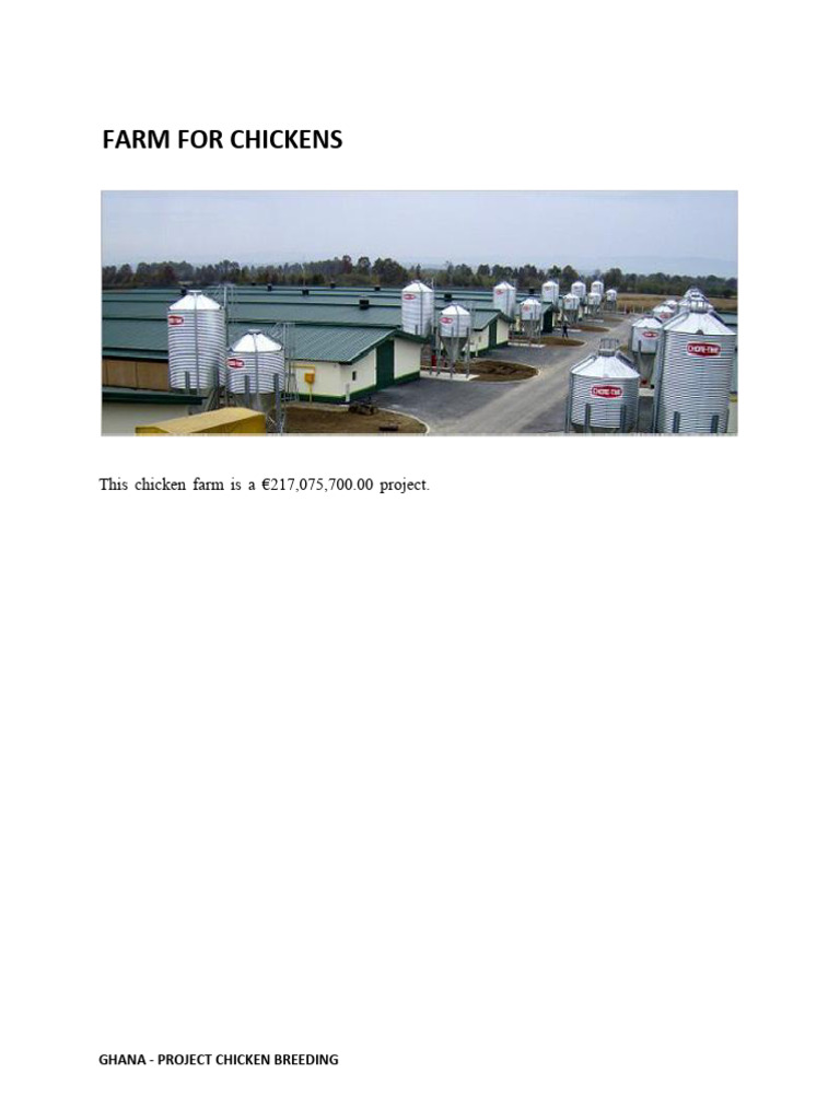 Ghana Chicken Breeding Project Overview | PDF | Chicken | Poultry Farming