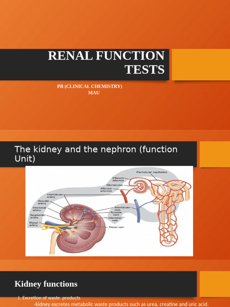 Renal Function Tests | PDF | Creatinine | Kidney