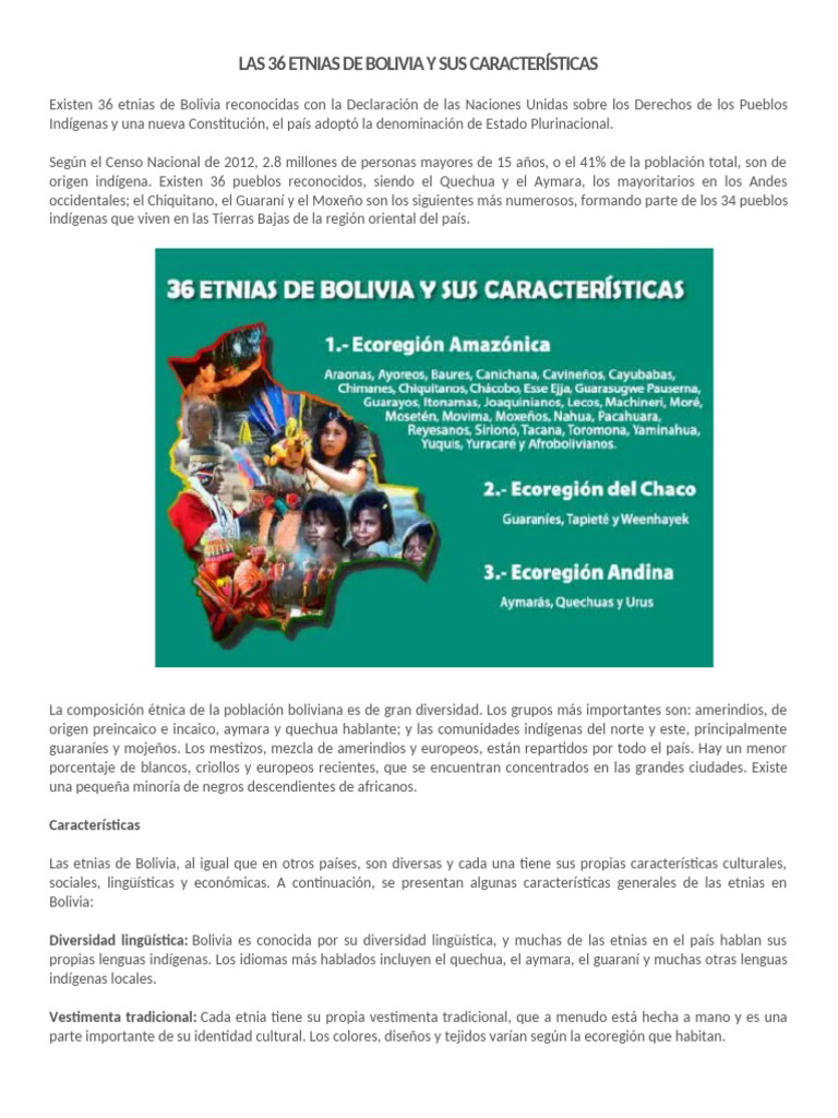 ETNIAS | PDF | Bolivia | Pueblos Indígenas de las Américas