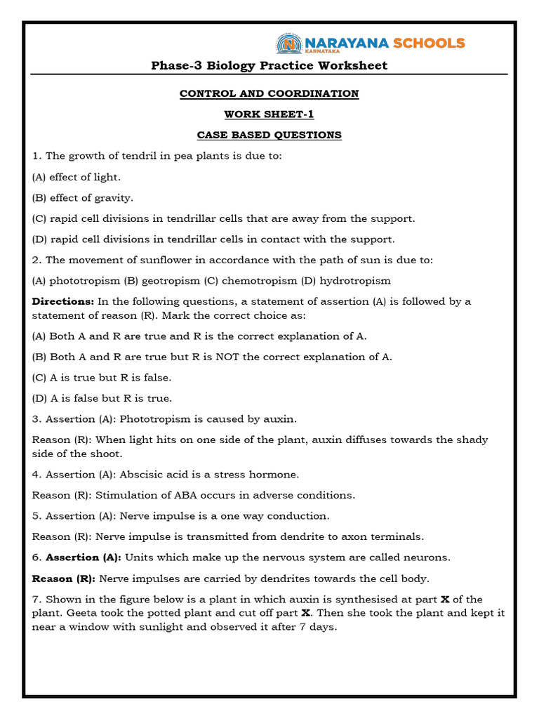 Biology Ws Control and Coordination Ws 1 | PDF | Neuron | Biology