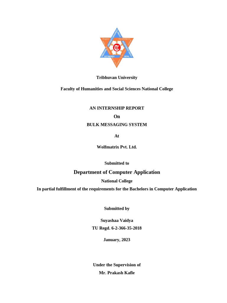 Intern Final Report | PDF | Software Development | Web Development