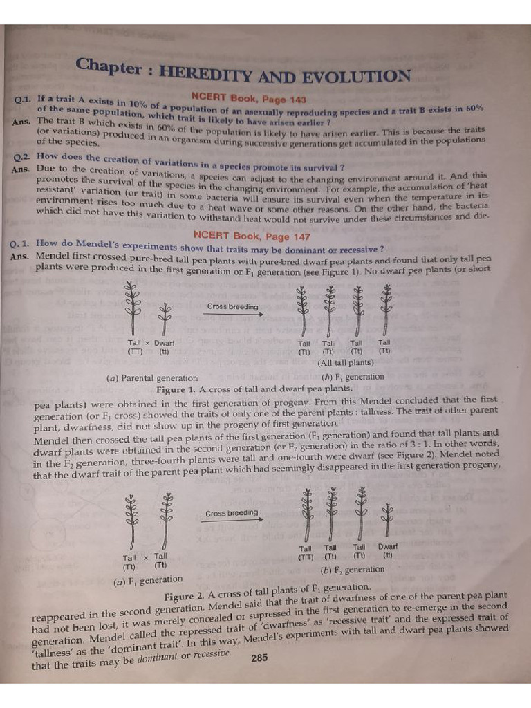 Science CH 9 | PDF