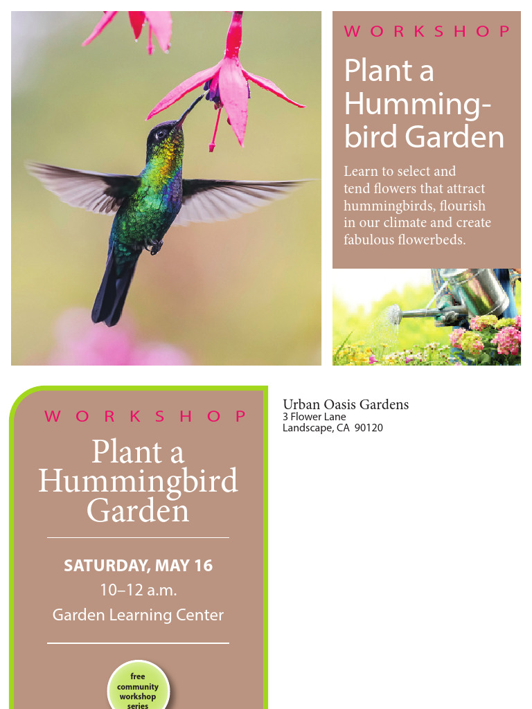 Hummingbird | PDF