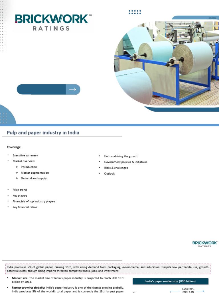 Pulp & Paper Industry - Final | PDF | Exports | Paper