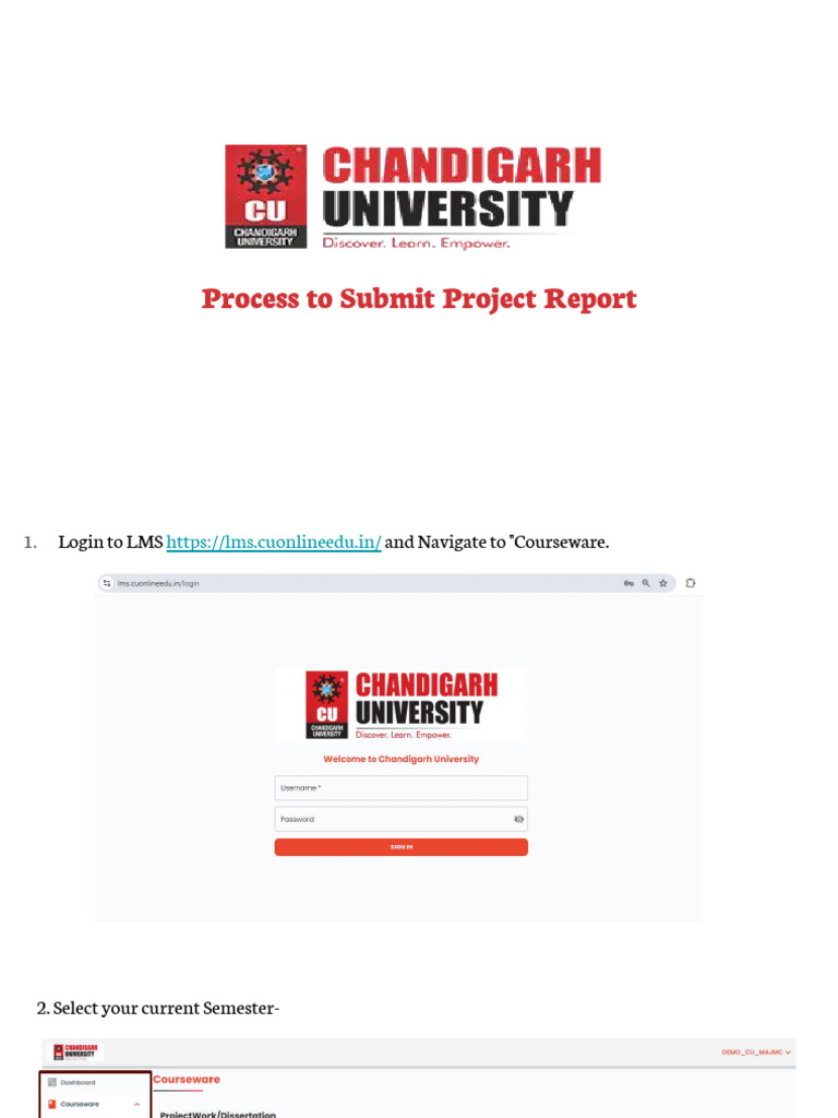 How to Submit Project Report on LMS | PDF