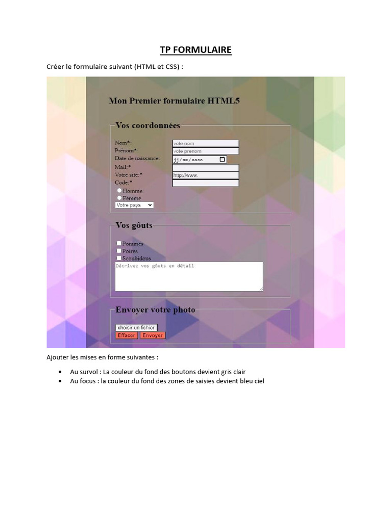 Formulaire HTML/CSS avec effets au survol | PDF