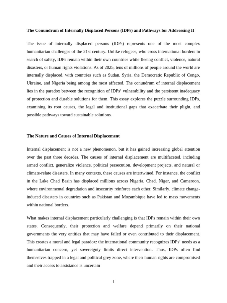 Solutions for Internally Displaced Persons | PDF | Internally Displaced ...