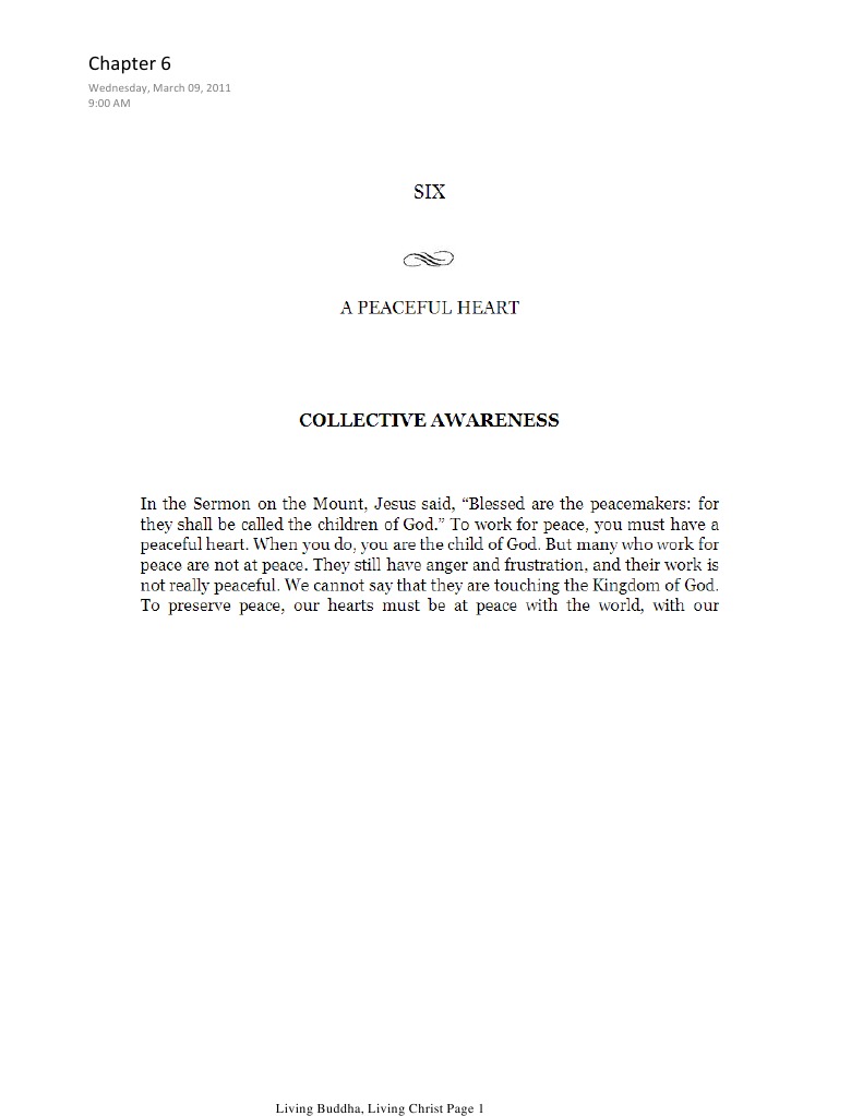 Thich Nhat Hanh Chapter Summary