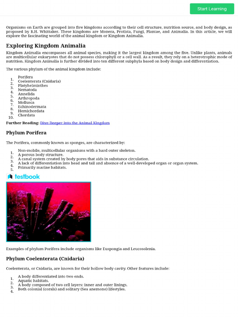 Understanding The Animal Kingdom - Animalia Phylum and Subphylum | PDF