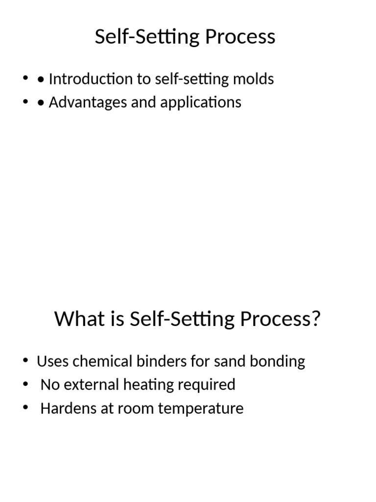 Self Setting Process Presentation | PDF