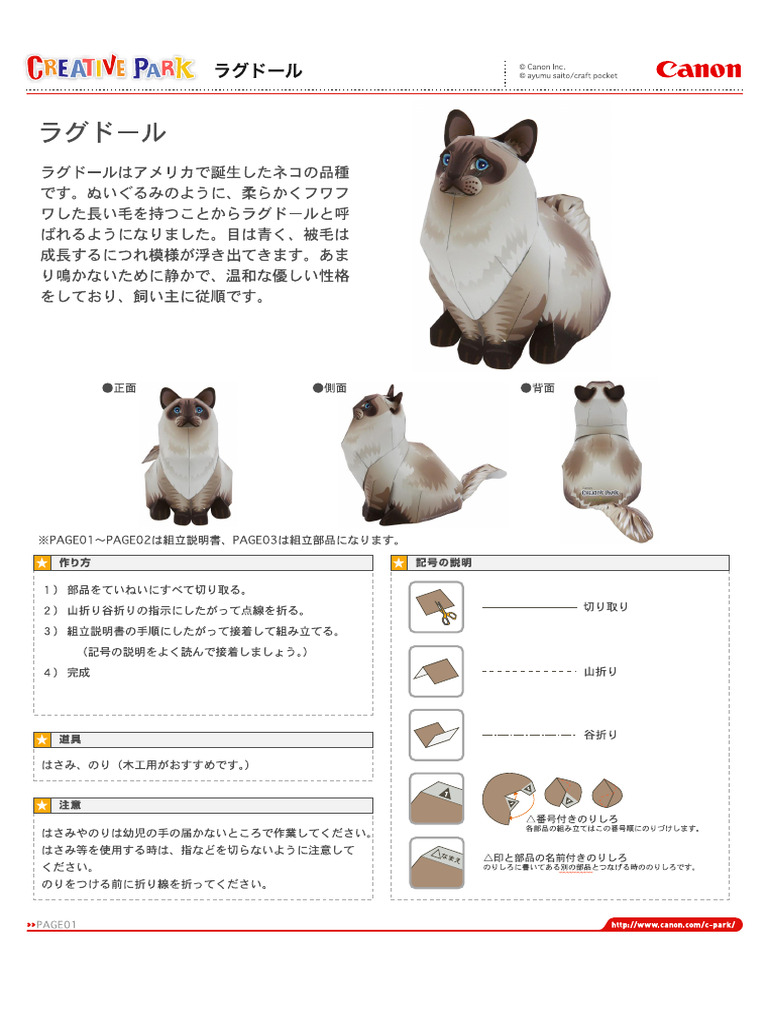 Ragdoll | PDF