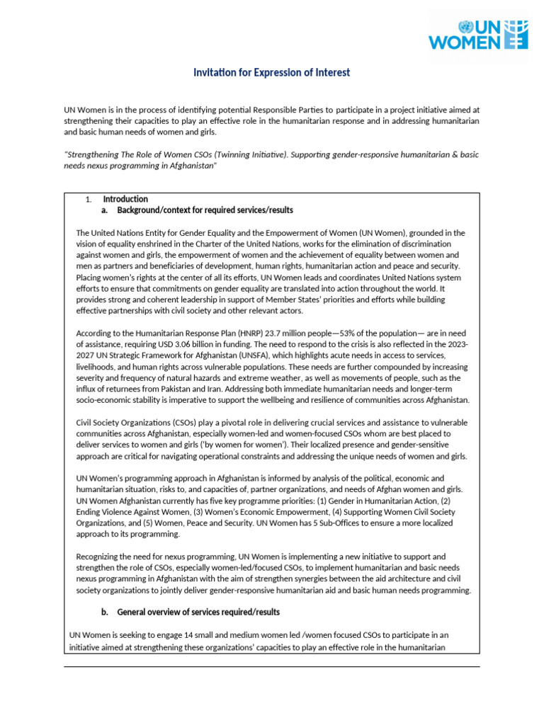 UN Women CSO Capacity Building Initiative | PDF | Capacity Building ...