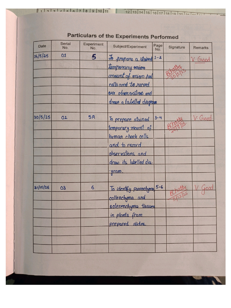 PDFGallery 20251207 200343 | PDF