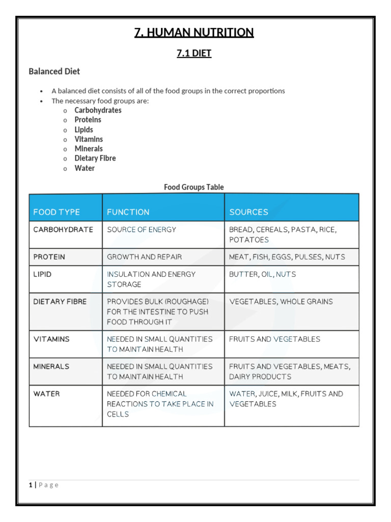 Human Nutrition and Digestive System Overview | PDF | Digestion | Small ...