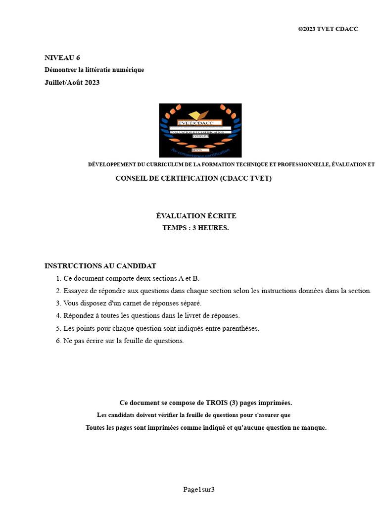 Évaluation de la littératie numérique N6 | PDF | Microsoft Excel ...