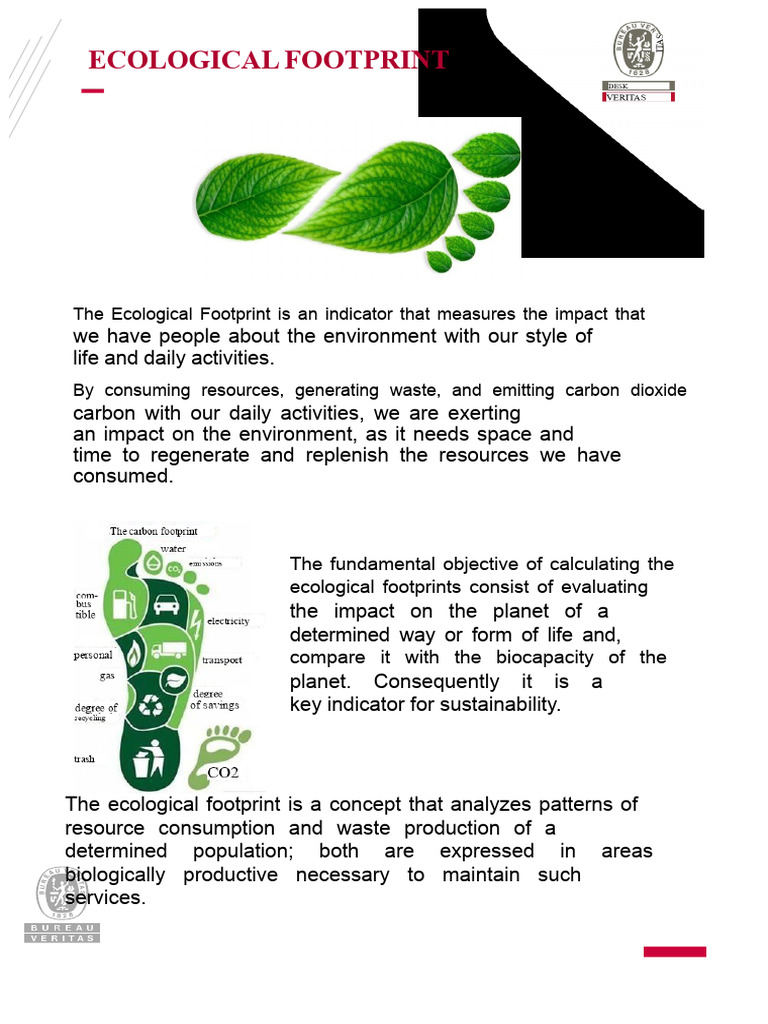 Understanding Ecological Footprint Impact | PDF