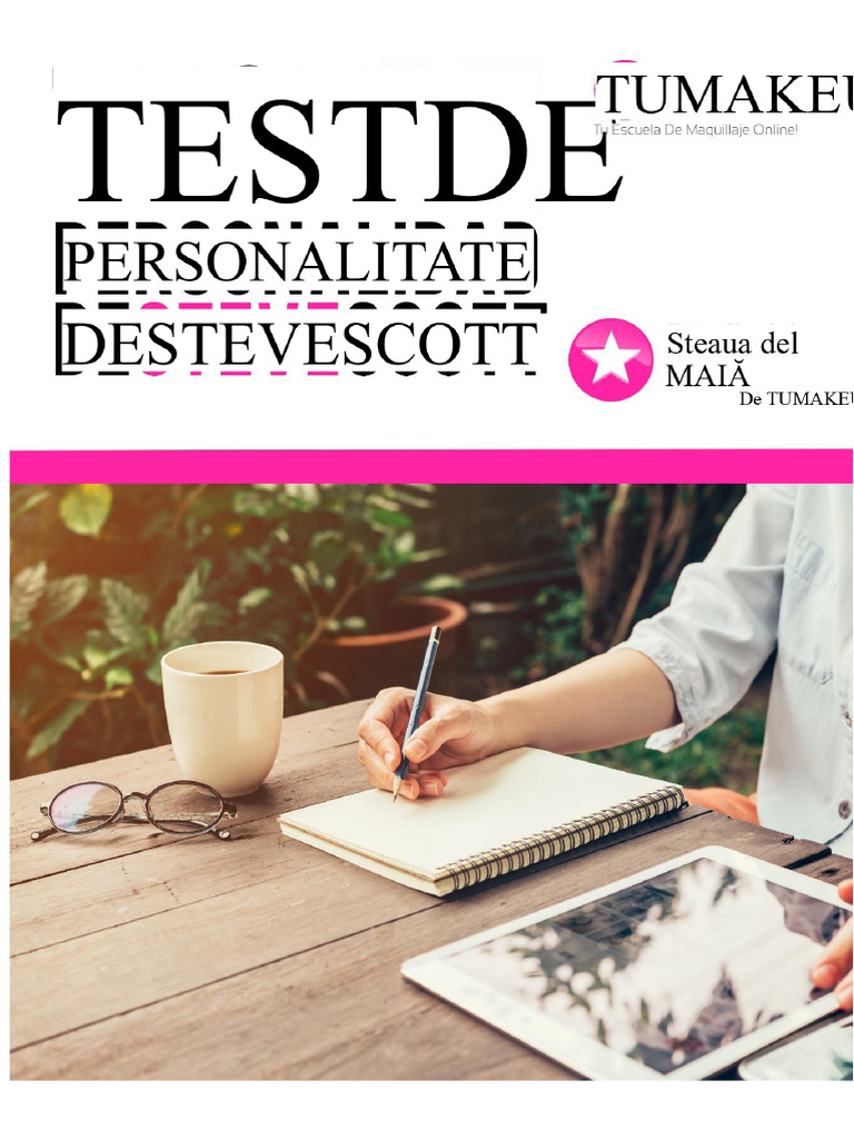 Test de Personalitate - Steve Scott | PDF