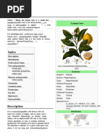 Lemon Tree: Cultivation and History | PDF | Lemon | Citrus