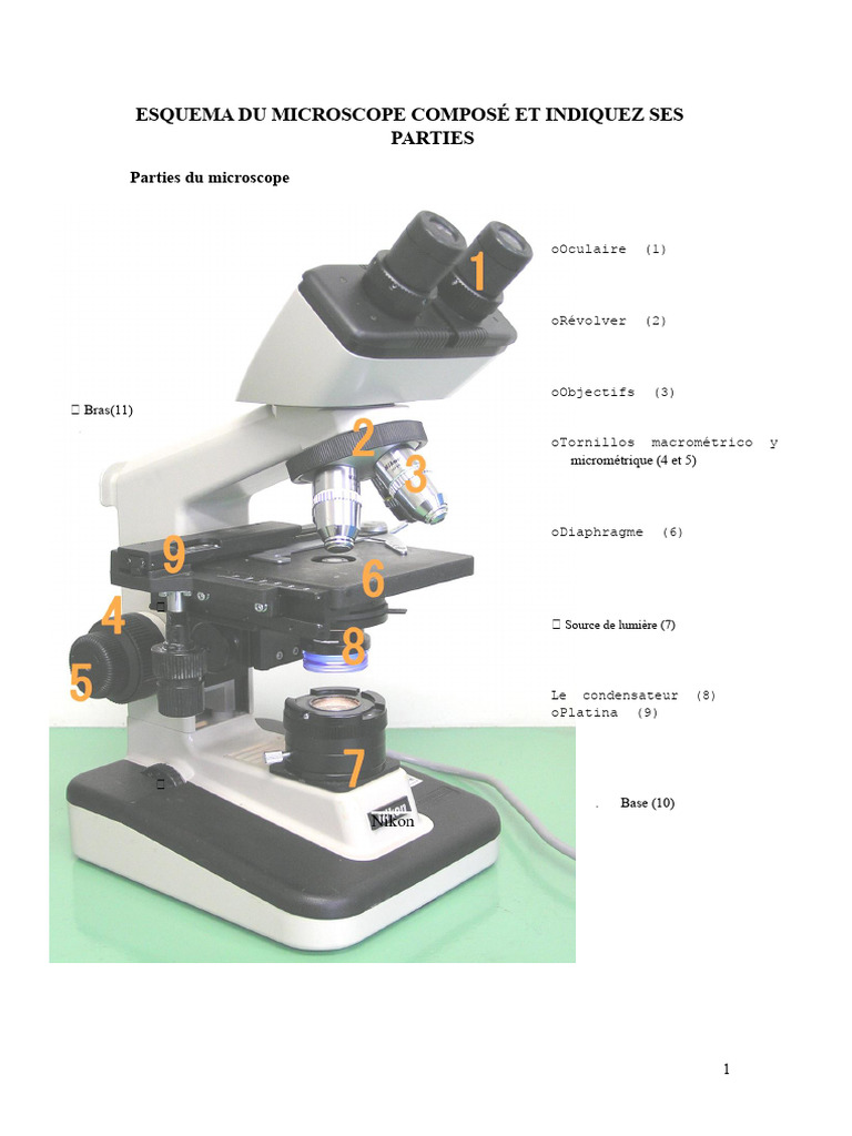 Guide d'utilisation du microscope composé | PDF | Microscope | Papier
