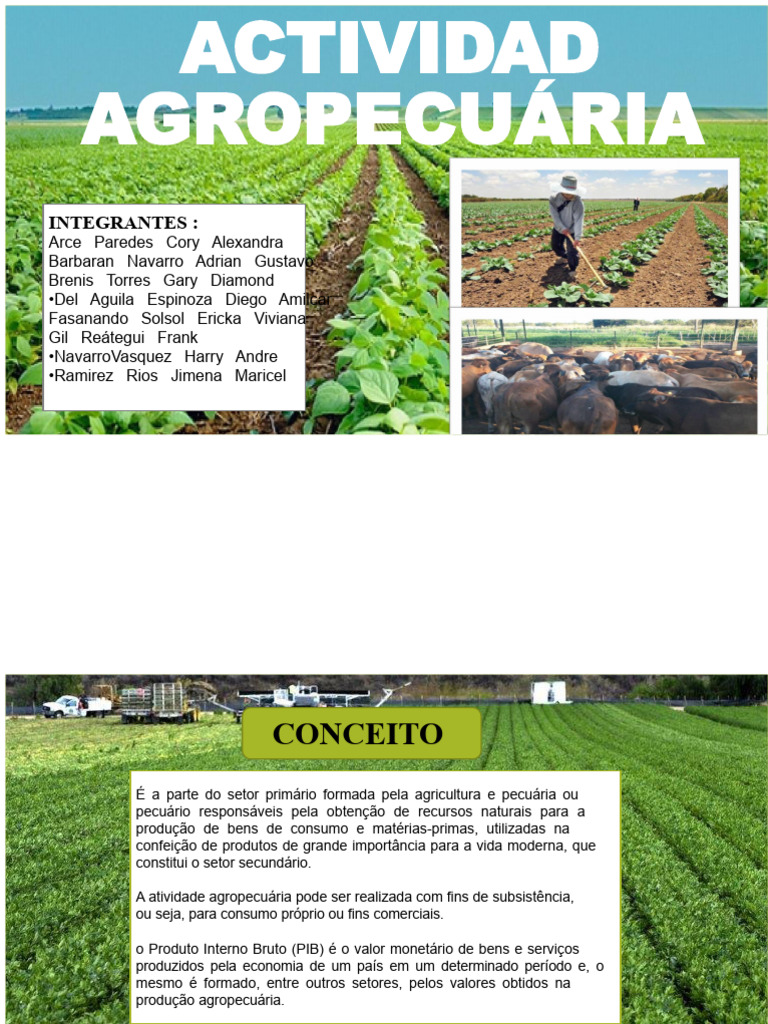 Atividades Agropecuárias: Conceitos e Tipos | PDF | Agricultura | Despesa