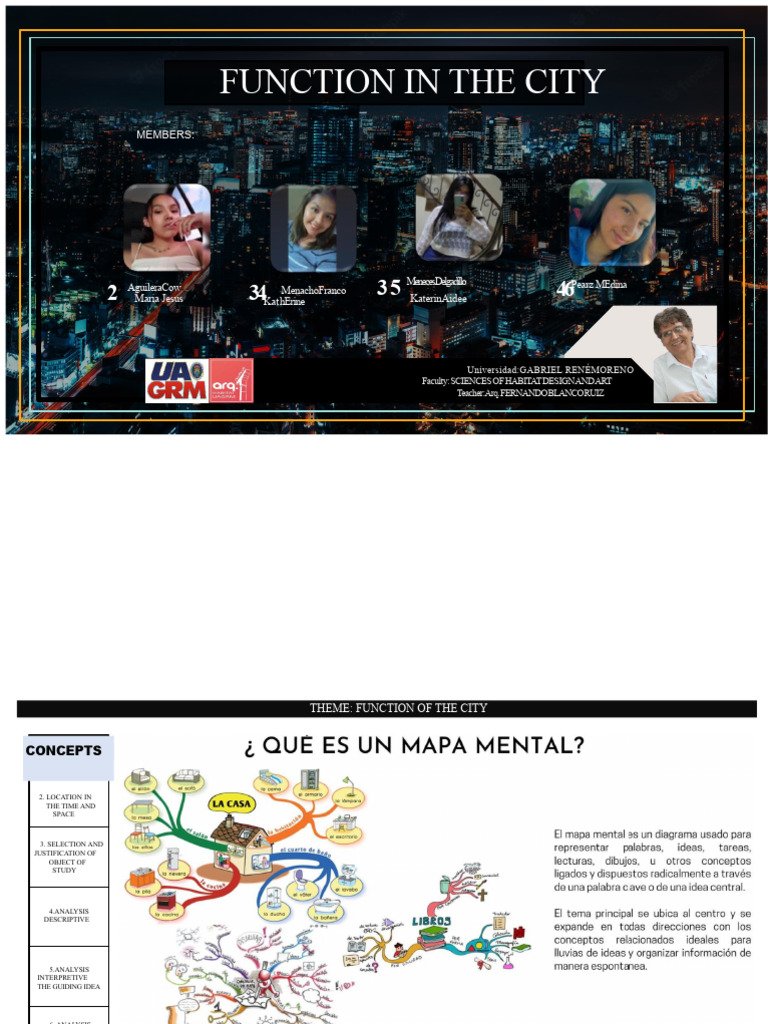 Analyzing Urban Functions in Cities | PDF | Function (Mathematics) | City
