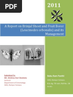 Download A Report on Brinjal Shoot and Fruit Borer and Its Management by Babu Ram Panthi SN97278343 doc pdf