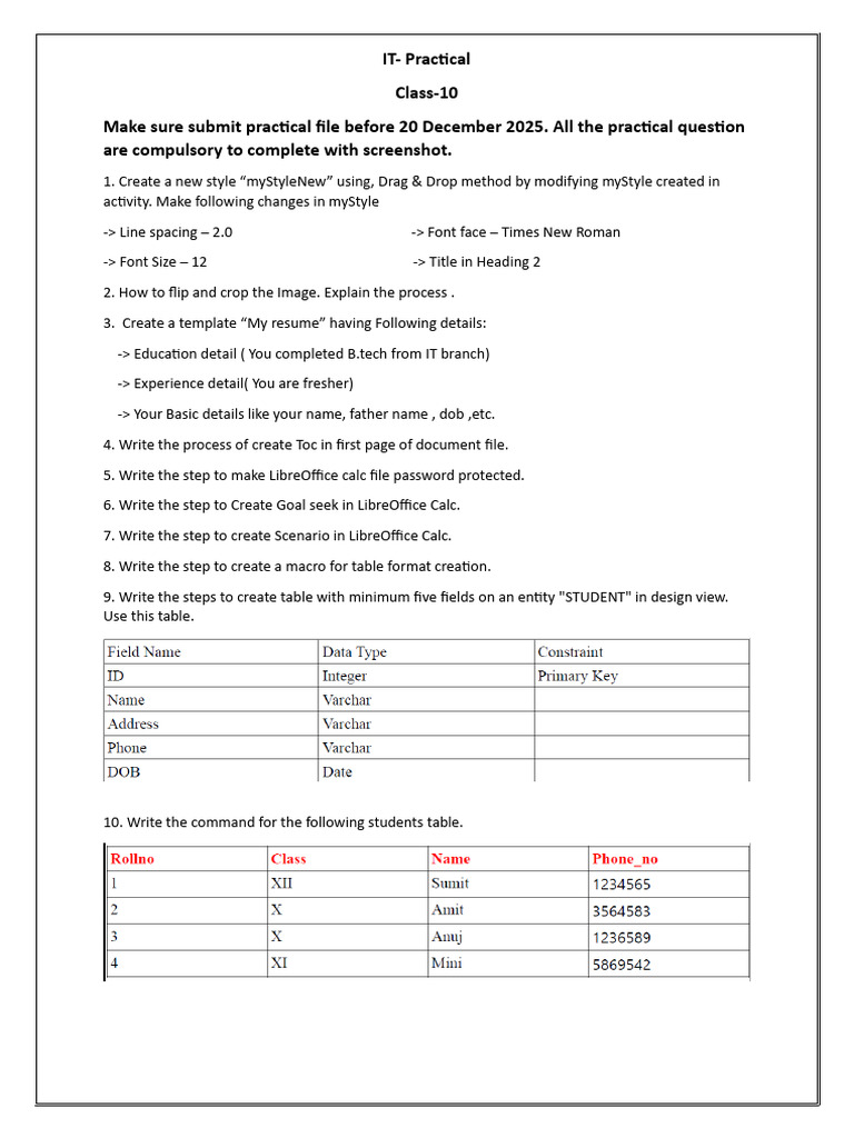 Class 10 IT Practical File Guide | PDF